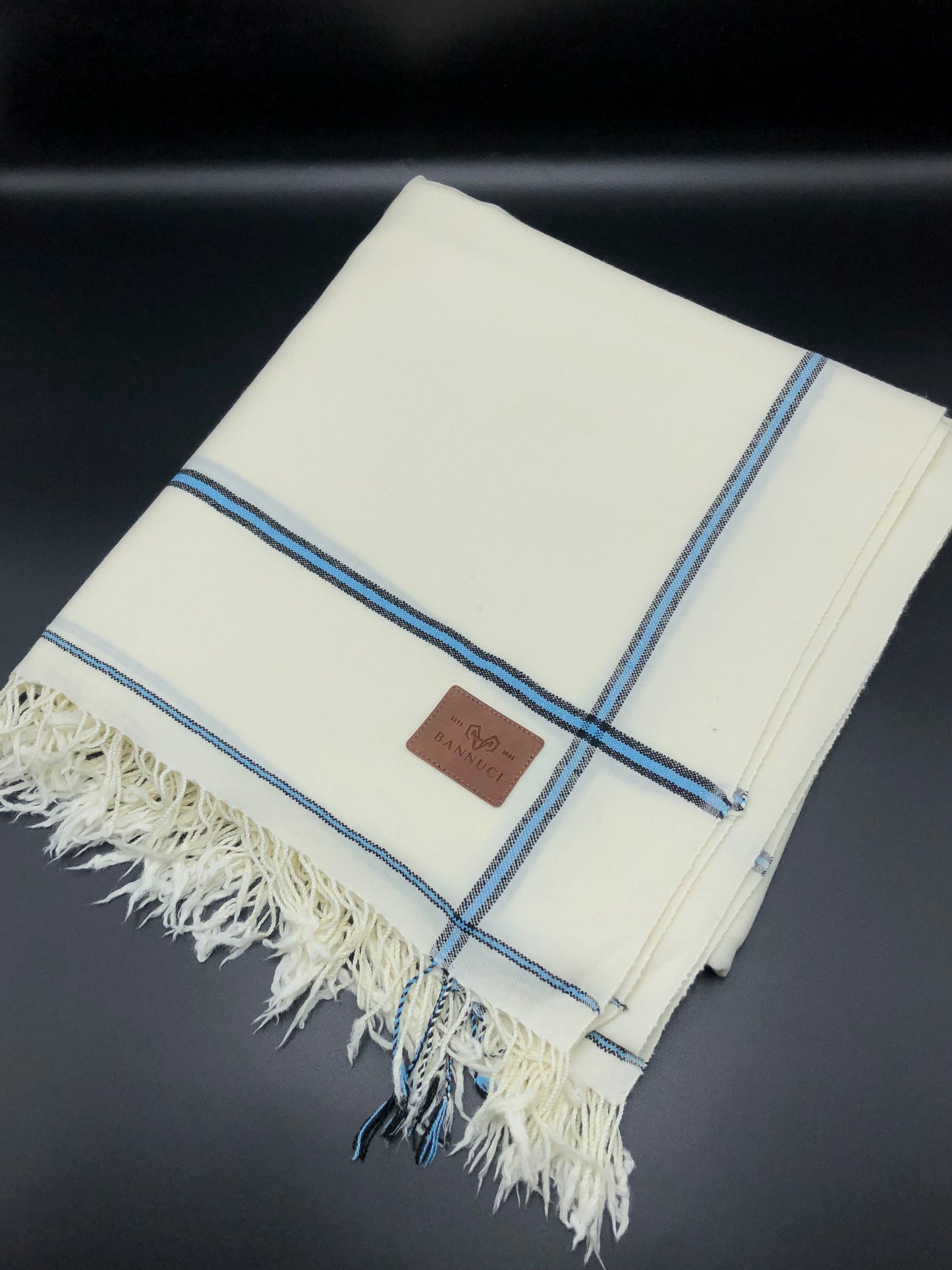 Premium Quality Sky Blue Border Pure Woolen Shawl I