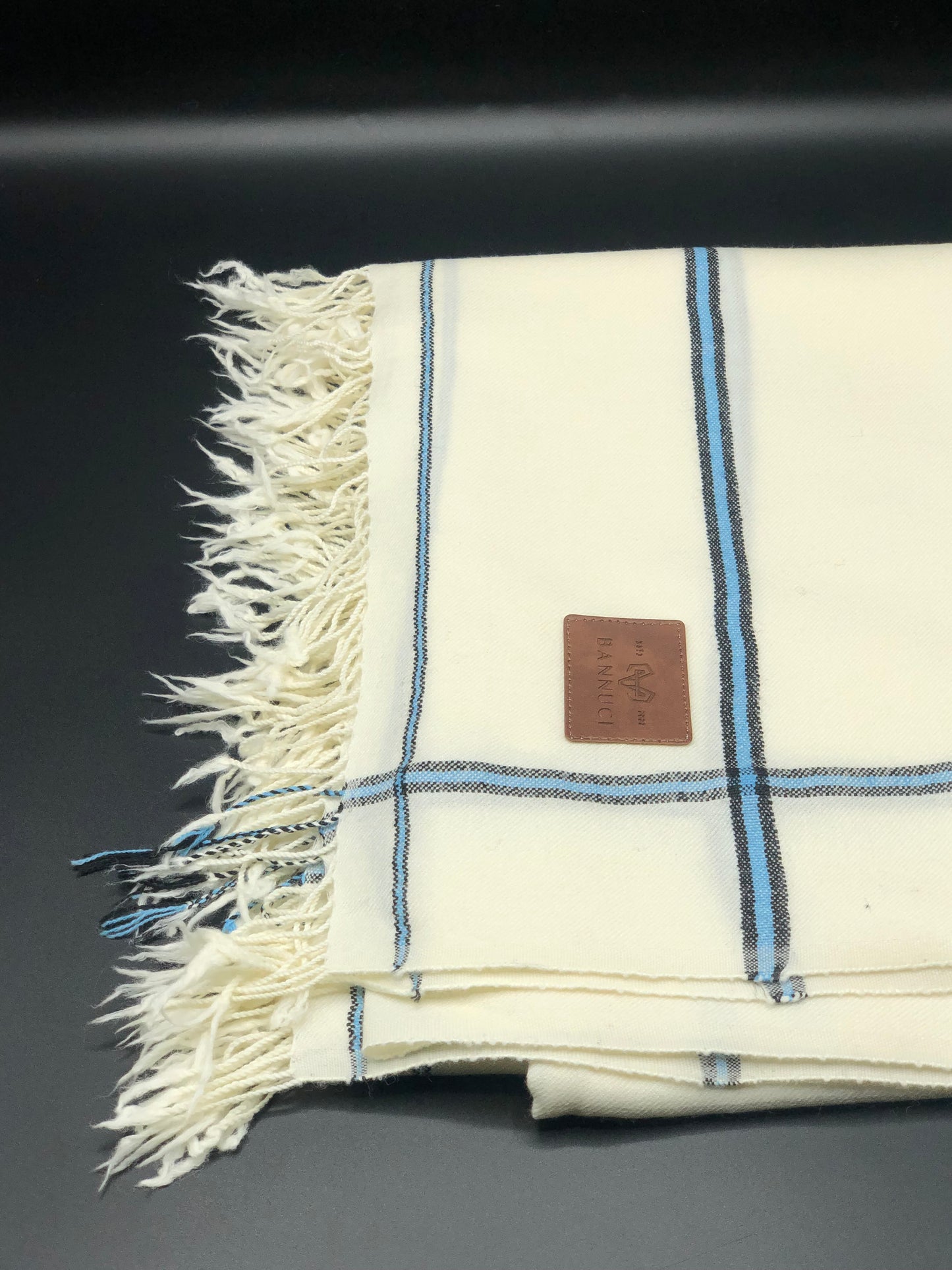 Premium Quality Sky Blue Border Pure Woolen Shawl I