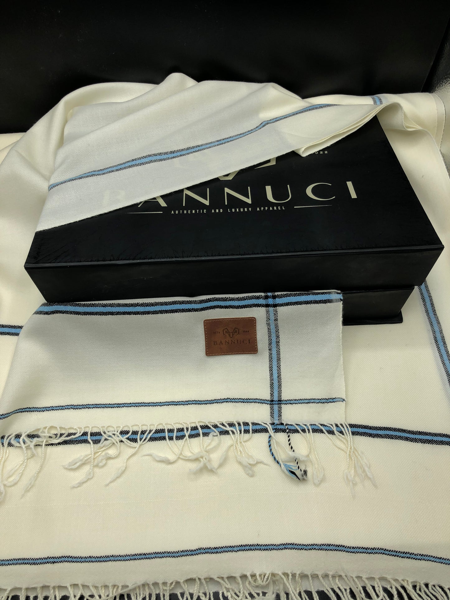 Premium Quality Sky Blue Border Pure Woolen Shawl I