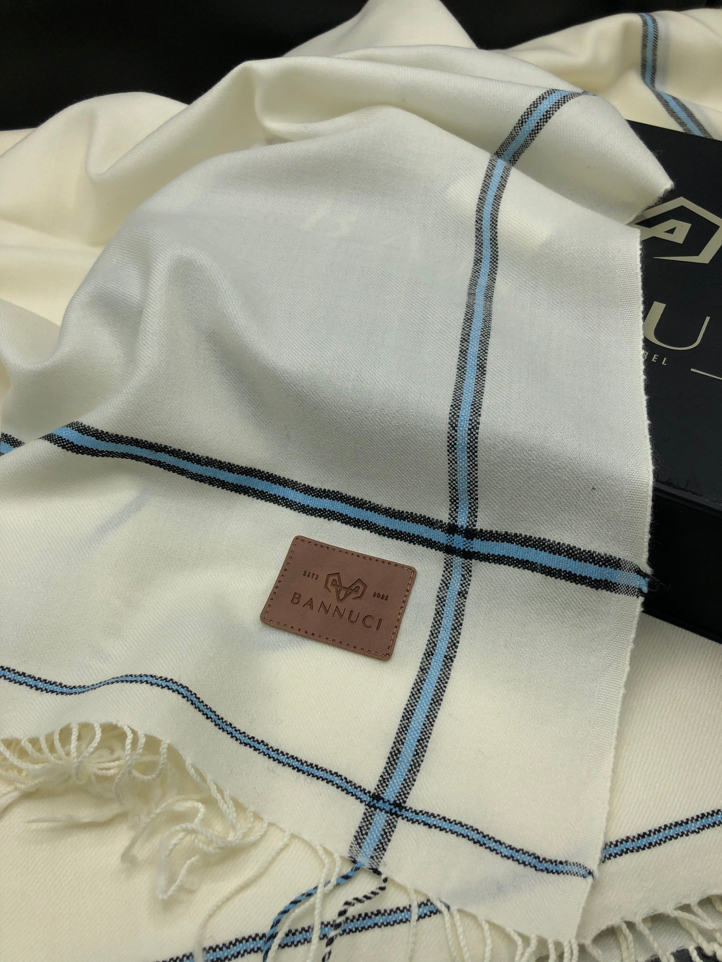 Premium Quality Sky Blue Border Pure Woolen Shawl I